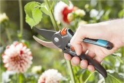 GARDENA Comfort B/M Bypass Snoeischaar - Ø 24mm - Met Sapgeul -Tuin Tools Verkoop 1200x800 63