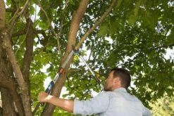 Gardena TeleCut Takkenschaar 650-900 B - Uitschuifbare Armen - Tot Max 90 Cm -Tuin Tools Verkoop 1200x800 66