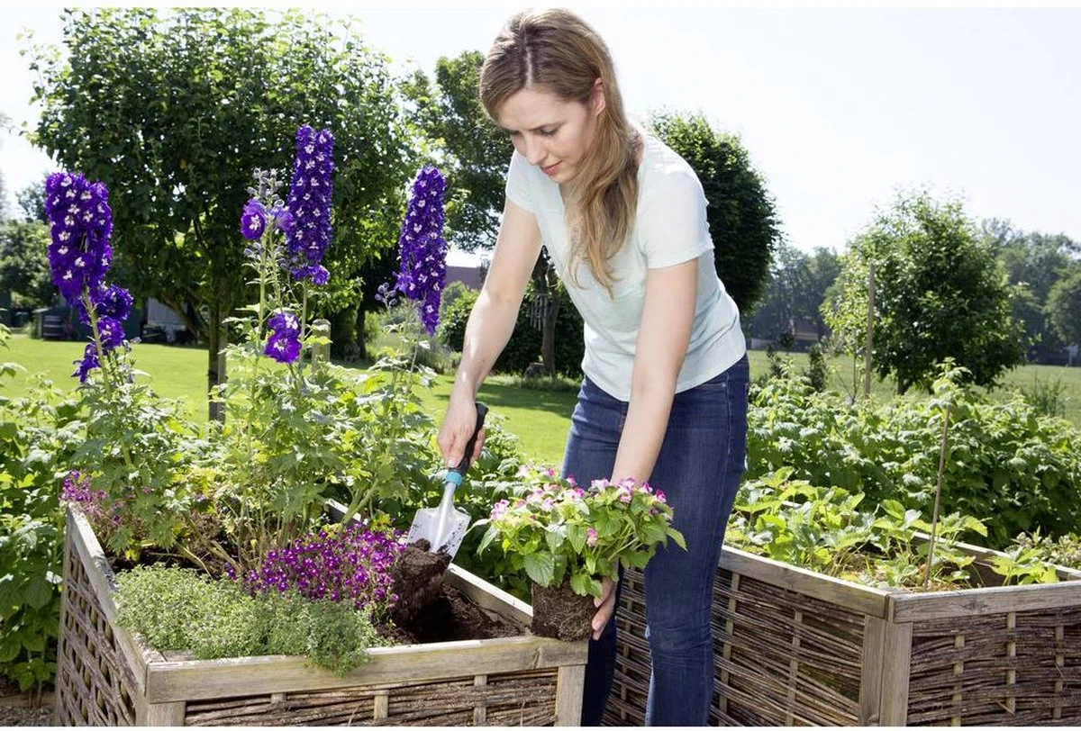 GARDENA Comfort Kleingereedschapsset Promo 2 GARDENA Comfort Kleingereedschapsset Promo - Image 2