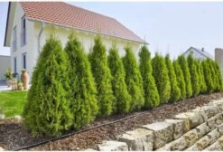 GARDENA Micro Drip System Startset L Druppelsysteem - 50 Meter -Tuin Tools Verkoop 1200x814 2