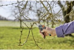 GARDENA - ExpertCut - Snoeischaar - 22 Diameter Tak -Tuin Tools Verkoop 1200x815