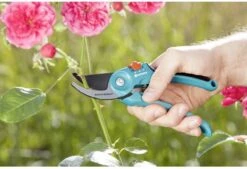 GARDENA - Classic B/S-M Bypass Snoeischaar - Ø 22mm - 25 Jaar Garantie -Tuin Tools Verkoop 1200x820