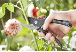 GARDENA Comfort B/M Bypass Snoeischaar - Ø 24mm - Met Sapgeul -Tuin Tools Verkoop 1200x822