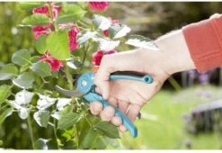 GARDENA - Classic B/S-M Bypass Snoeischaar - Ø 22mm - 25 Jaar Garantie -Tuin Tools Verkoop 1200x825 6