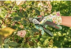 Bosch EasyPrune Accu Snoeischaar - 3.6 V Accu - USB -Tuin Tools Verkoop 1200x825 8