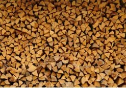 Steko Houtsplijter Voor Grote Blokken - Voor Aanmaakhout & Brandhout - Houtklover - Houtkliever - Splijtwig - Handmatig - Overal Te Gebruiken 1605 Gram - Metaal - Kloofwig - HOGE VOLUMEKORTING -Tuin Tools Verkoop 1200x837 1