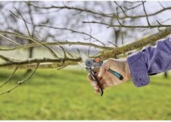 GARDENA - ExpertCut - Snoeischaar - 22 Diameter Tak -Tuin Tools Verkoop 1200x859