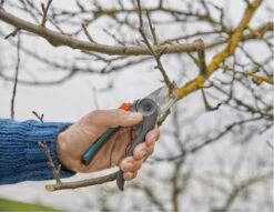 GARDENA - ExpertCut - Snoeischaar - 22 Diameter Tak -Tuin Tools Verkoop 1200x929