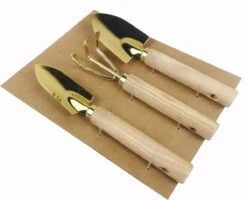 Botang 3-delige Metalen Tuingereedschap Set, Mini Troffel, Harkje En Transplanter - Opgelet Mini Set 5 Botang 3-delige Metalen Tuingereedschap Set, Mini Troffel, Harkje En Transplanter - Opgelet Mini Set -Tuin Tools Verkoop 1200x974 4