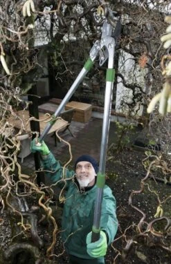 Telescopische Takkenschaar, 6-voudig -Tuin Tools Verkoop 775x1200