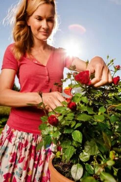 WOLF-Garten Snoeischaar "Premium Plus" RR 4000 - Max. Knipdiameter 22 Mm - Links- En Rechtshandige - Softinleg Handgreep - Snijhoek 30° - Voor Grote Handen - Vervangbare Messen -Tuin Tools Verkoop 799x1200 2