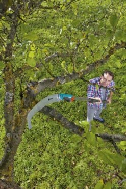 GARDENA Combisysteem Snoeizaag 300PP Curved Takkenzaag - Meslengte 315 Mm - Exclusief Verlengstok 13 GARDENA Combisysteem Snoeizaag 300PP Curved Takkenzaag - Meslengte 315 Mm - Exclusief Verlengstok -Tuin Tools Verkoop 799x1200 45