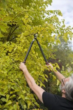 Kreator KRTGR4001 Takkenschaar - 650mm 6 Kreator KRTGR4001 Takkenschaar - 650mm -Tuin Tools Verkoop 800x1200 10