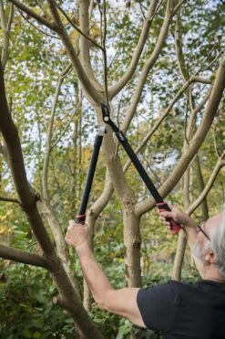 Kreator KRTGR4001 Takkenschaar - 650mm 7 Kreator KRTGR4001 Takkenschaar - 650mm -Tuin Tools Verkoop 800x1200 11