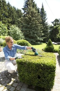 Bosch ISIO Gen III Accu Buxusschaar + Grasschaar -Tuin Tools Verkoop 800x1200 4