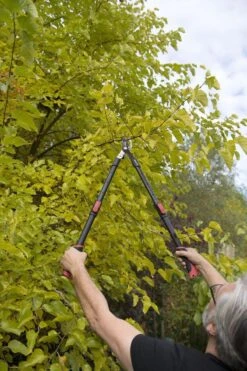 Kreator KRTGR4003 Telescopische Takkenschaar – Jong Hout - Knipdiameter: Ø34 Mm 7 Kreator KRTGR4003 Telescopische Takkenschaar – Jong Hout - Knipdiameter: Ø34 Mm -Tuin Tools Verkoop 800x1200 6