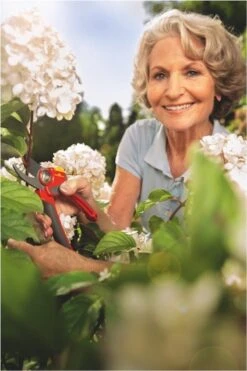 WOLF-Garten Snoeischaar "Premium Plus" RR 4000 - Max. Knipdiameter 22 Mm - Links- En Rechtshandige - Softinleg Handgreep - Snijhoek 30° - Voor Grote Handen - Vervangbare Messen -Tuin Tools Verkoop 800x1200 7