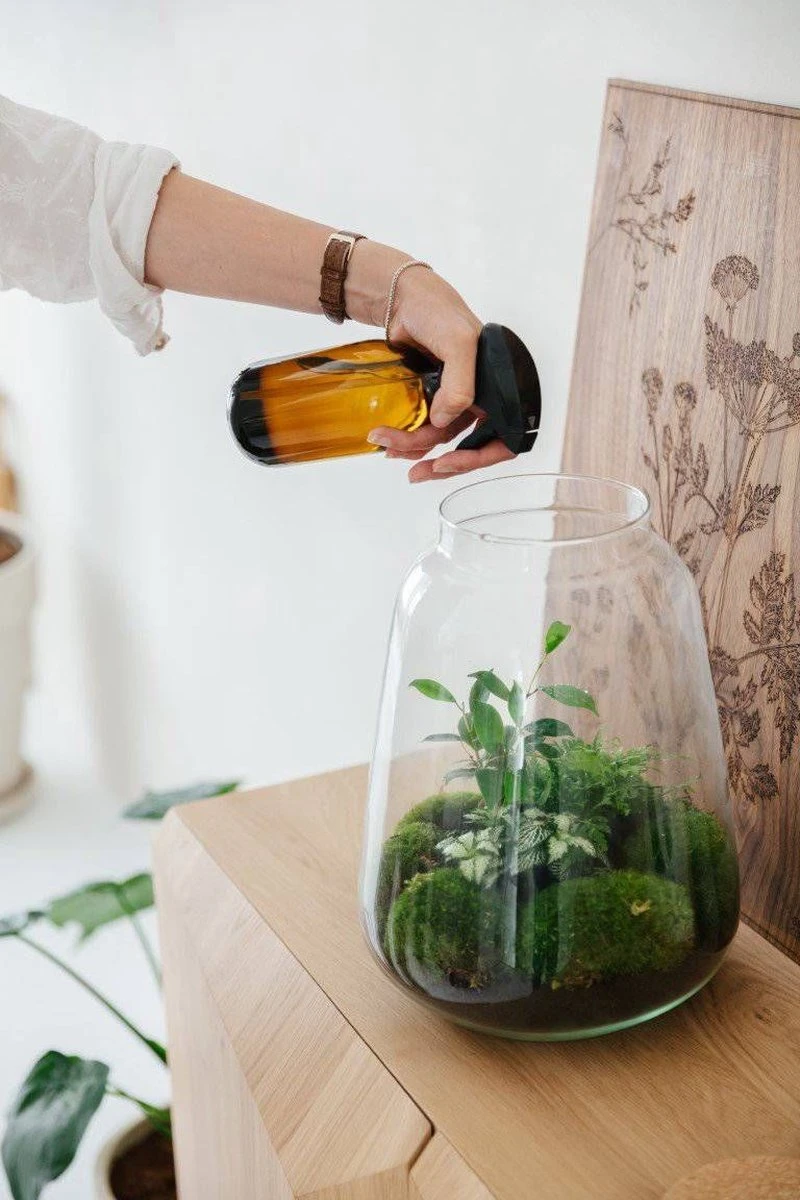 24DOTS Living Plantenspuit | 500 Ml Bruin Amber Glas | Plantensproeier | Plantenspuit Binnen | Waterverstuiver | Vernevelaar 4 24DOTS Living Plantenspuit | 500 Ml Bruin Amber Glas | Plantensproeier | Plantenspuit Binnen | Waterverstuiver | Vernevelaar - Image 4