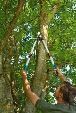 Gardena TeleCut Takkenschaar 650-900 B - Uitschuifbare Armen - Tot Max 90 Cm -Tuin Tools Verkoop 801x1200