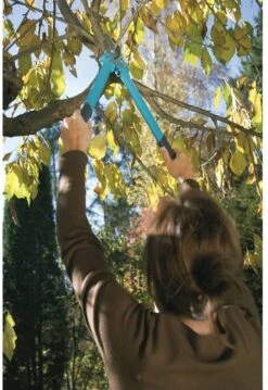 GARDENA Comfort 500 BL Takkenschaar - Max Knipdiameter 35 Mm -Tuin Tools Verkoop 825x1200 6