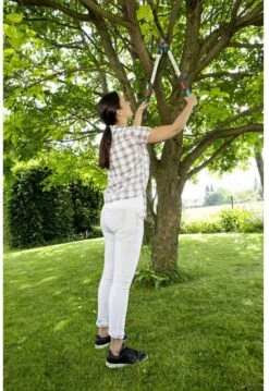 GARDENA - TeleCut Telescopische - Takkenschaar 520-670B - 42 Mm Verstelbare Lengte -Tuin Tools Verkoop 826x1200