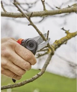 GARDENA - ExpertCut - Snoeischaar - 22 Diameter Tak -Tuin Tools Verkoop 999x1200